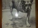 ALICE IN CHAINS - Alice in chains 2x12