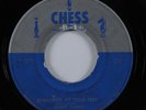 R&B Blues 45 MUDDY WATERS Diamonds At Your Feet CHESS HEAR