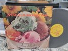RARE PUNK VINYL - VOLCANO SUNS THING OF BEAUTY - N MINT VINYL LP 1989 USA PRESS