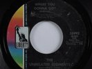 Garage Psych 45 UNRELATED SEGMENTS Where You Gonna Go? LIBERTY VG+ HEAR