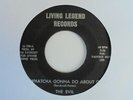 THE EVIL Whatcha Gonna Do About it LIVING LEGEN Miami 60's Garage Punk 45 HEAR