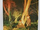 Echo And The Bunnymen Crocodiles Lp