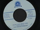 ENTERTAINERS: I'm In Love With You / Hot On A Thang 45 (70s Modern Soul) Soul