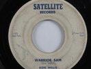 Rockabilly 45 DON WILLIS Warrior Sam SATELLITE HEAR
