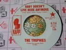 Harp-Wailin' Garage Punk Stomper 45 The Trophies Baby Doesn't Live Here HEAR