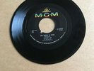 Northern Soul. Mamie Lee - “The show is over”/”I can feel him slipping away”