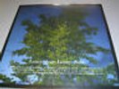 Loney, Dear -  Loney, Noir - LP Vinyl /// Neu & OVP