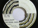Hear  Northern Soul 45 The Grand Prees - Jungle Fever / Sit & Cry On Groove