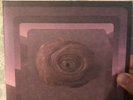 mgmt congratulations vinyl