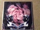 Death In June ? Rose Clouds Of Holocaust Lp