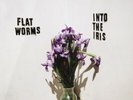 INTO THE IRIS