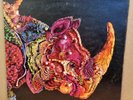 RHINOCEROS SELF TITLED OG UK ELEKTRA RECORDS LP EKL 4030 A1/B1 MINT