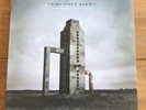 Frightened Rabbit - Painting Of A Panic Attack 12”  Vinyl lp Signed Autographed
