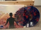 A Day To Remember Common Courtesy Shark Attack Vinyl