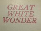 Bob Dylan Great White Wonder Bootleg 2 x LP unofficial Rocolian 1969 white label