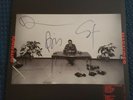 Interpol - Marauder Signed / Autographed Vinyl LP