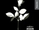 Depeche Mode Violator 2005 remix (very rare and limited edition)