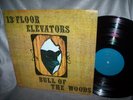 13th Floor Elevators  