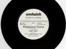 Last Exit/Sting ?– Whispering Voices - Very RARE Debut Of Sting