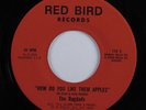 Soul Funk 45 BAGDADS How Do You Like Them Apples RED BIRD VG+ HEAR