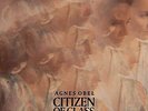AGNES OBEL - CITIZEN OF GLASS NEW VINYL