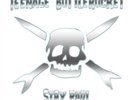 TEENAGE BOTTLEROCKET STAY RAD  (LP Vinyl) Preorder