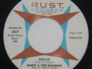Rare Doo Wop 45, Randy & The Rainbows - Denise / Come Back, Unplayed Copy, HEAR