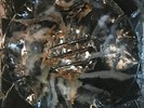 The New Blockaders & Vortex Campaign The New Vortex Blockaders Campaign LP