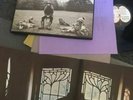 George Harrison All Things Must Pass Vinyl Record 3 LP Original