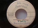 BRIAN WILSON & MIKE LOVE TEST PRESS PROMO COPY 