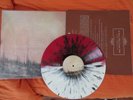 IF THESE TREES COULD TALK vinyl RED FOREST coloured lim vinyl pelican
