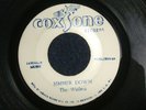 THE WAILERS  -  SIMMER DOWN  (SKA)  45