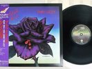 THIN LIZZY BLACK ROSE A ROCK LEGEND VERTIGO 17PP-2 Japan OBI VINYL LP