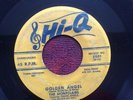 DOO WOP 45 MONTCLAIRS HI-Q 5001 (First Press) Golden Angel/Don Juan