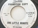 TEEN The Velvetones ONE LITTLE MINUTE Sparton 45 rare Canadian NM