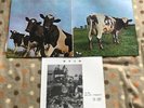 Pink Floyd ?– Atom Heart Mother LP JAPAN PRESS