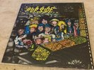 Flipside Vinyl Fanzine Volume 2  Punks Compilation 21 Different Bands