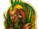 MARILLION GARDEN PARTY / MARGARET Limited Edition Vinyl Shaped Picture Disc