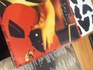 CSNY Looking Forward 2 LP set, german , rare htf in US, Crosby Stills record