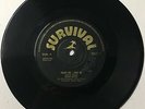 ESTER BYRDE 45 Touch Me Take Me / SOLID GOLD ORCH. Tracks of love SOUL d331