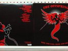 Offspring - Rise And Fall Rage And Grace LP 180g Vinyl Record Album 88697029081