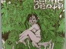 SEPTIC DEATH Need So Much Attention PUNK 2nd PRESS W INSERT LP VINYL EX/EX