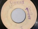 LESLIE BUTLER - POLONAISE REGGAE - BLANK ( SKINHEAD INST 7 )