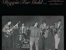 DIGGIN' FOR GOLD VOL.3 180g GOLD coloured vinyl LP hand numbered RARE GARAGE