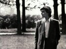 SYLVIAN, David - Brilliant Trees - Vinyl (LP)