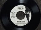 northern soul MARGIE JOSEPH What You Gonna Do VOLT DJ 4023 M- listen