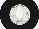 RARE ELVIS WHITE PROMO 45 - ROUSTABOUT/ONE TRACK HEART - RCA