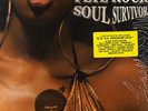 Pete Rock - Soul Survivor '98 2xLP US ORG  Large Professor Grap Luva