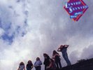 Lynyrd Skynyrd ?– Nuthin' Fancy Vinyl LP Analogue Prod ?2013 NEW/SEALED 200gm