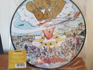 Green Day Dookie Picture Disc Vinyl From 2017